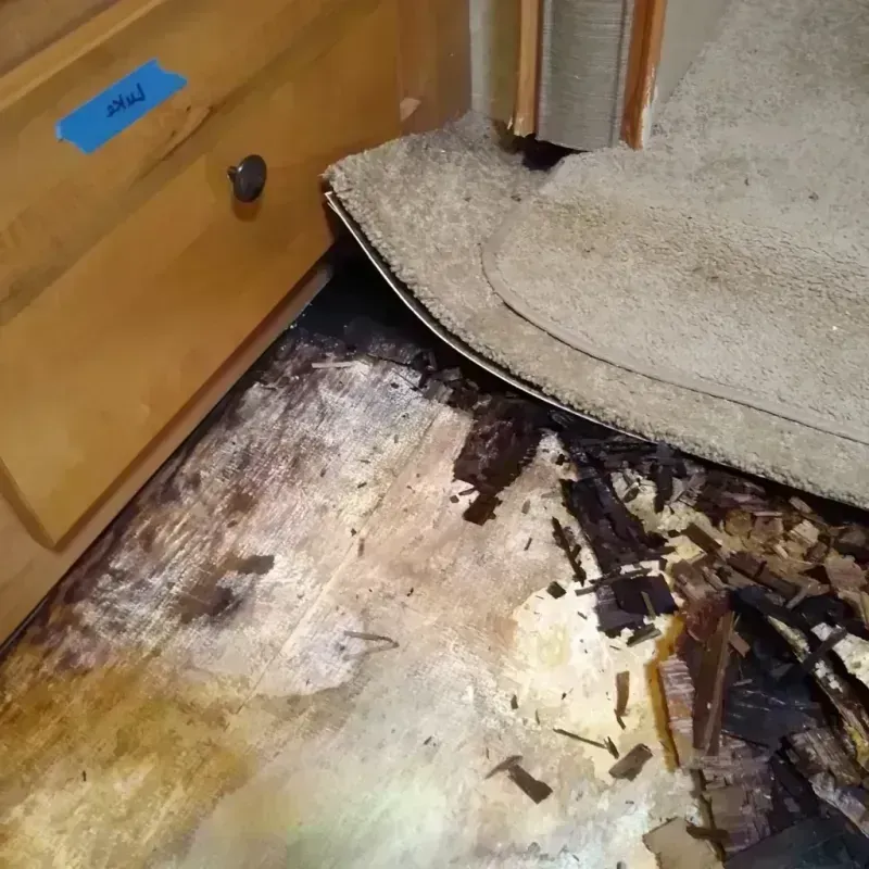 Wood Floor Water Damage in Avondale, AZ